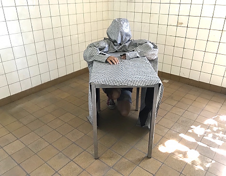 Das Raster mit dem Ast da